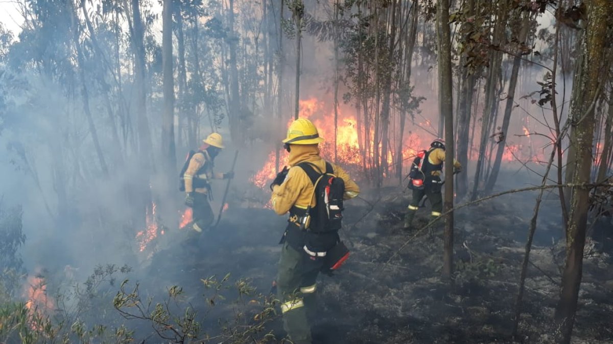 Eber Arroyo, del Cuerpo de Bomberos de Quito, dijo que después de 27 horas de intenso trabajo lograron controlar las llamas.
