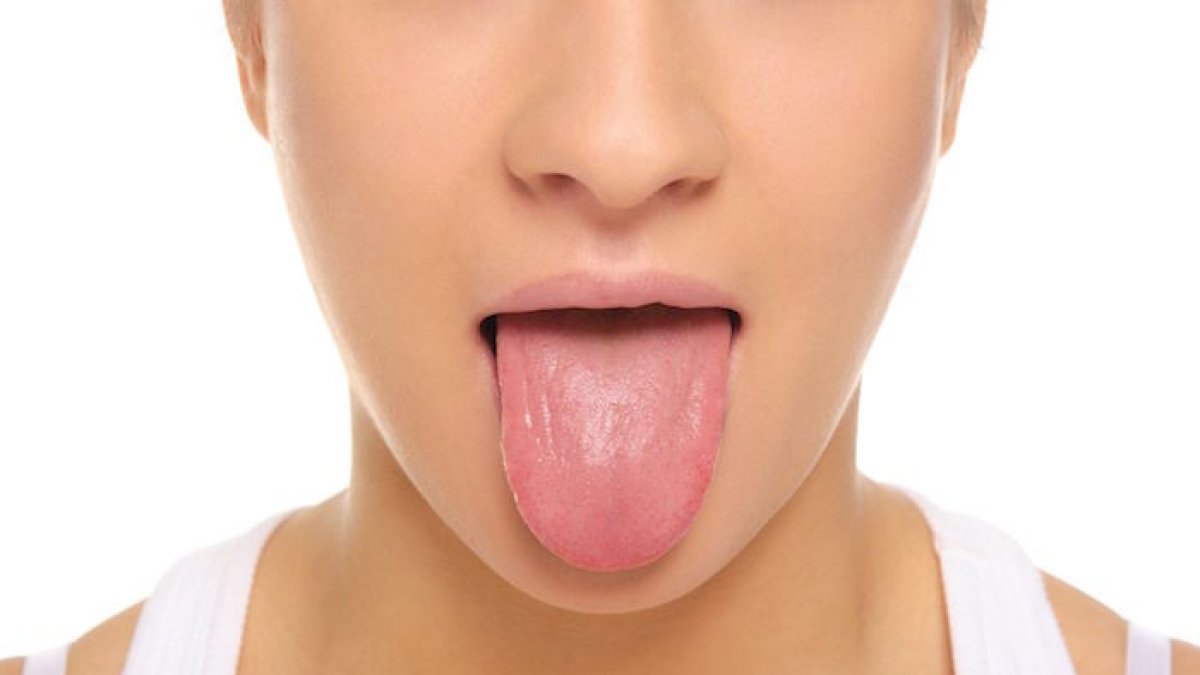 Una papila gustativa está compuesta por aproximadamente 50 a 100 células de tres tipos principales, cada una con diferentes roles.