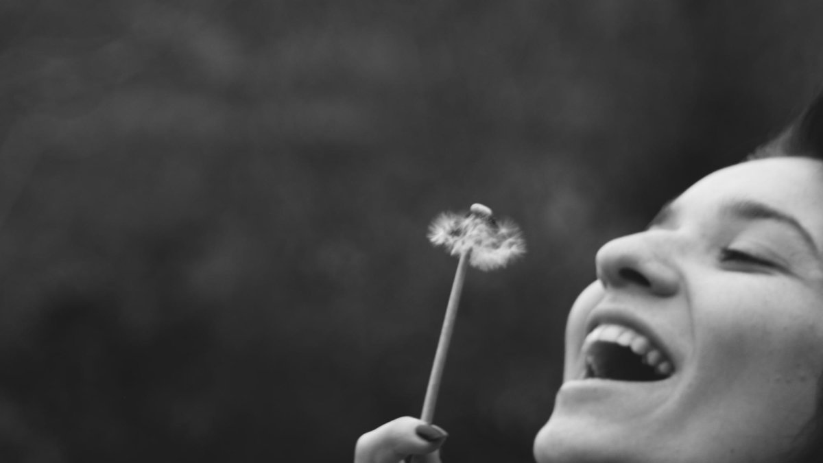 Está demostrado que reírse ayuda a rebajar el nivel de estrés, la hipertensión y algunas investigaciones apuntan a efectos reguladores sobre el sistema inmune.