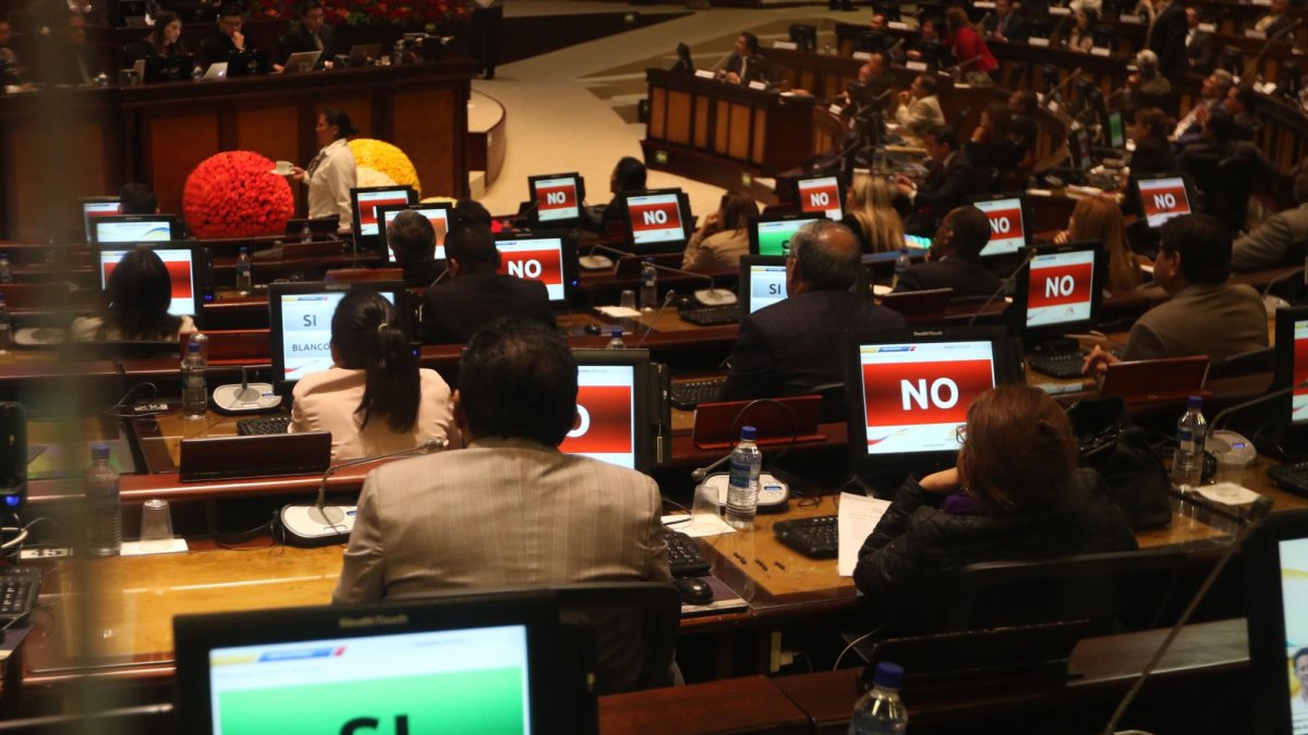 Sesión del pleno de la Asamblea Nacional. Los legisladores eligen a los miembros del Consejo de Participación Ciudadana Transitorio.