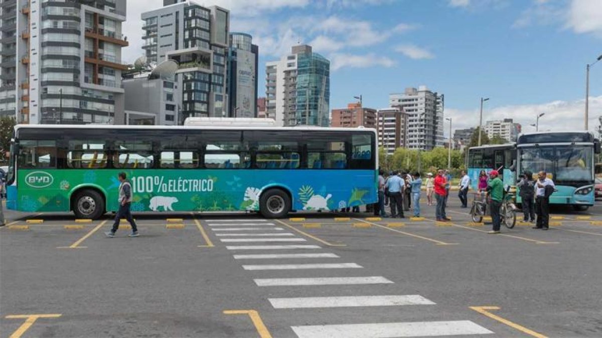 Se prevé ingresar al país tres mil unidades, hasta 2030.
