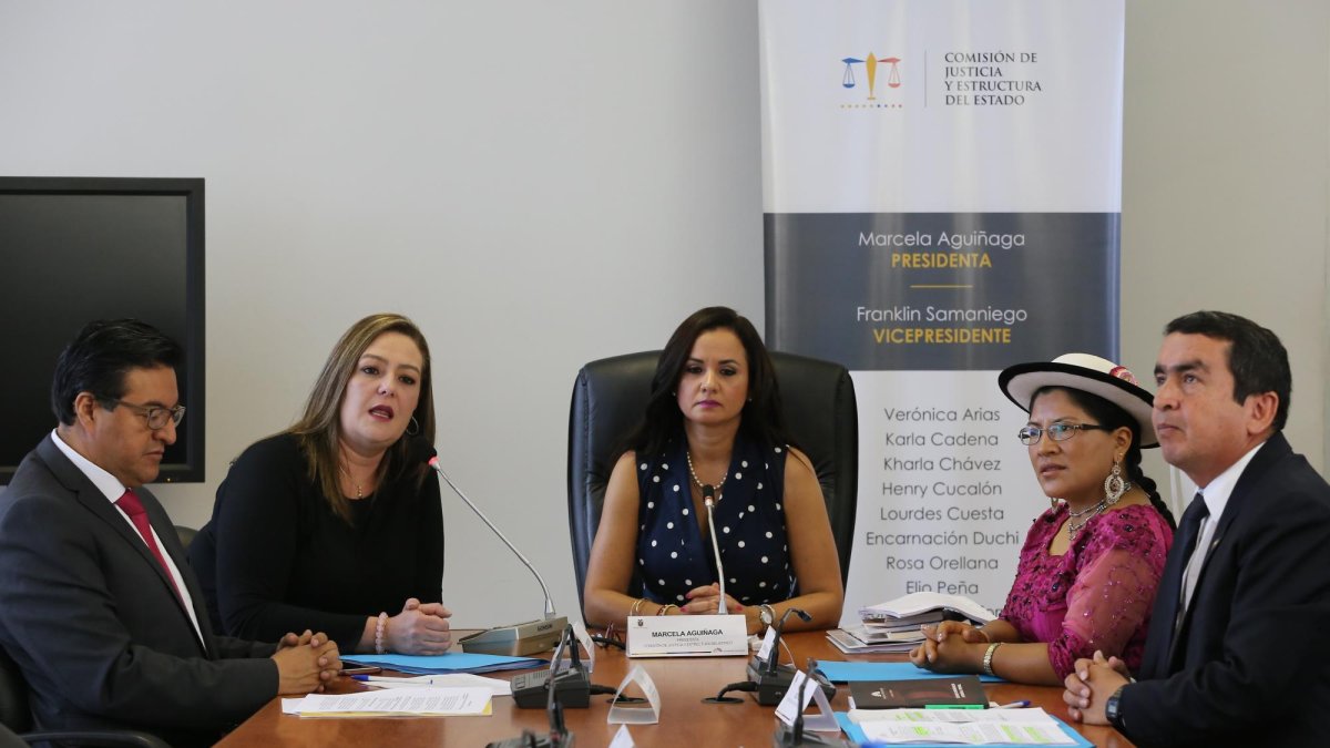 La comisión de Justicia que planteó la ley está liderada por Marcela Aguiñaga.