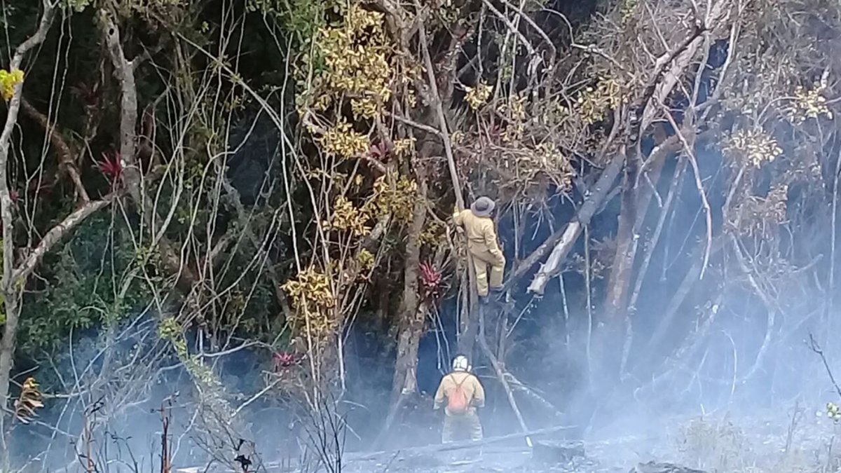 El miércoles 5 de septiembre inició el incendio forestal.