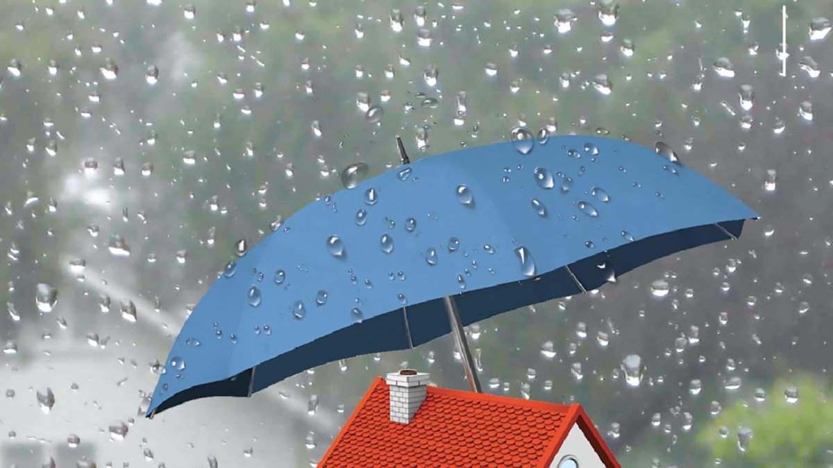 Desconecte los electrodomésticos en caso de tormenta.