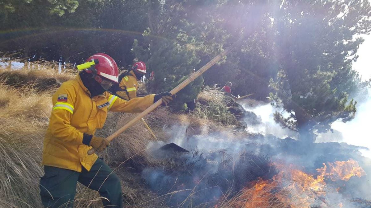 En la zona se dañaron 20 hectáreas de pajonales y hierba.