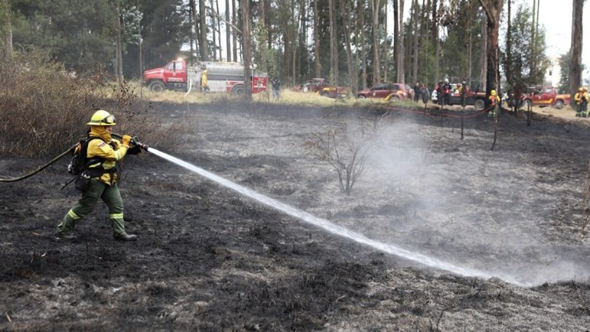 El cabildo recalcó que las áreas afectadas han disminuido en un 65 %, pese a que los eventos se han incrementado en un 85 %.