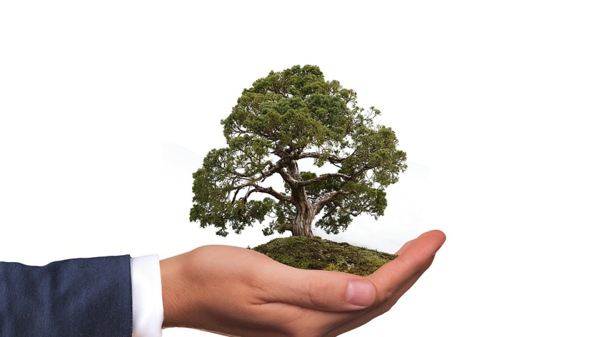 Imagen referencial. Existen 10 categorías para los proyectos participantes.