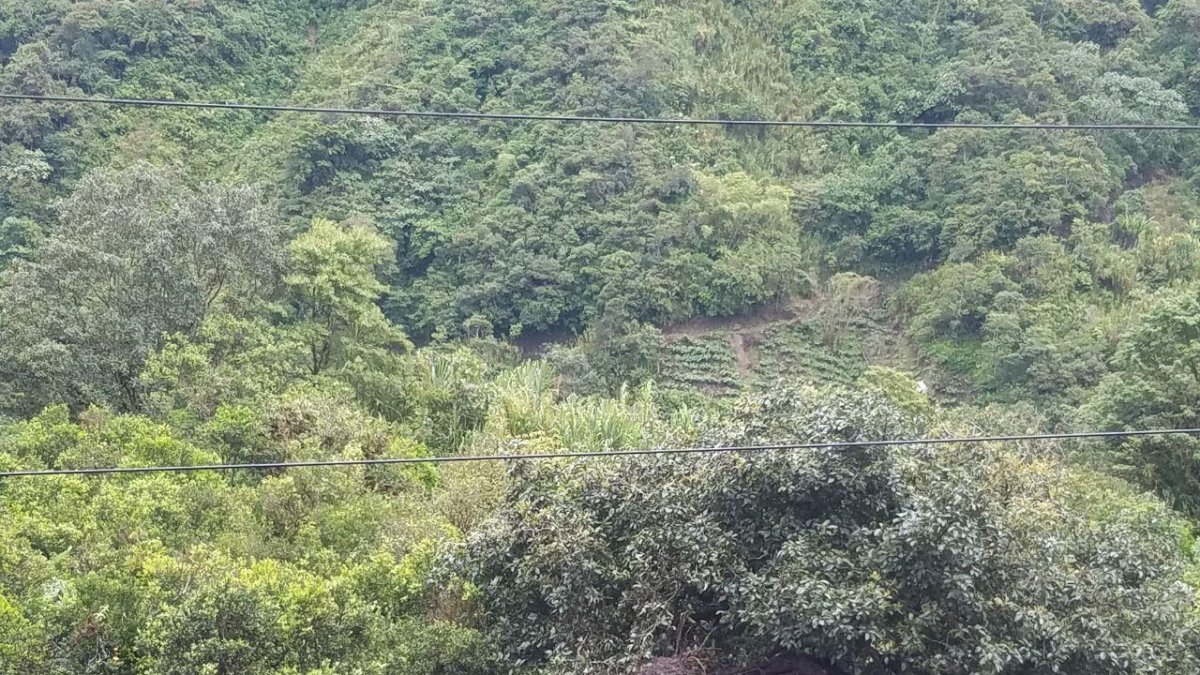 Dos personas murieron y 29 resultaron heridas tras el accidente.