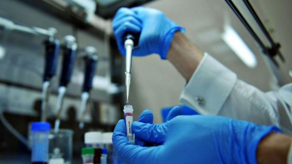 La mujer utilizó una prueba de ADN para conocer su herencia genética.