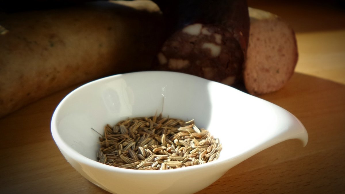 Calysta Inc., en California, y String Bio, en la ciudad india de Bangalore, son algunas de las empresas de biotecnología que han descubierto algunas formas de convertir el metano en proteínas.