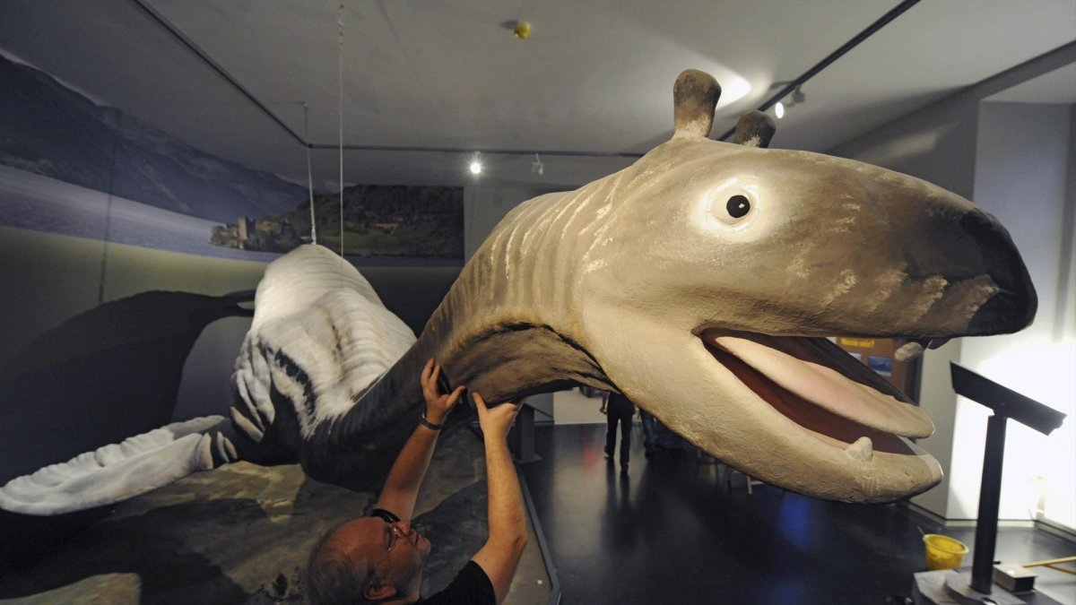 Una recreación de Nessy en el Museo de Historia Natural de Kaseel (Alemania) muestra cómo es el monstruo, según las personas que dicen haberlo visto.