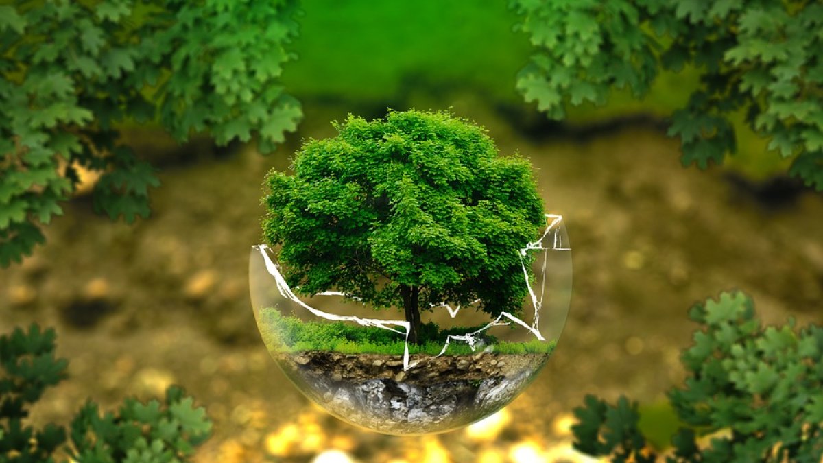 Existen varios tips para reducir la huella ecológica y de carbono.