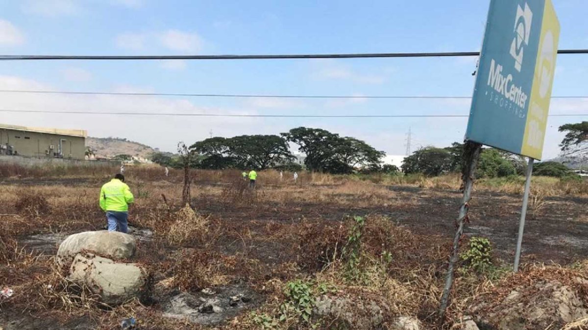 Un topógrafo descubrió el cuerpo.