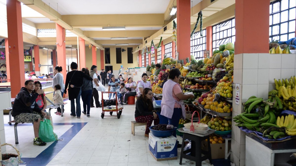 La instalación estuvo a cargo del Municipio de Quito.