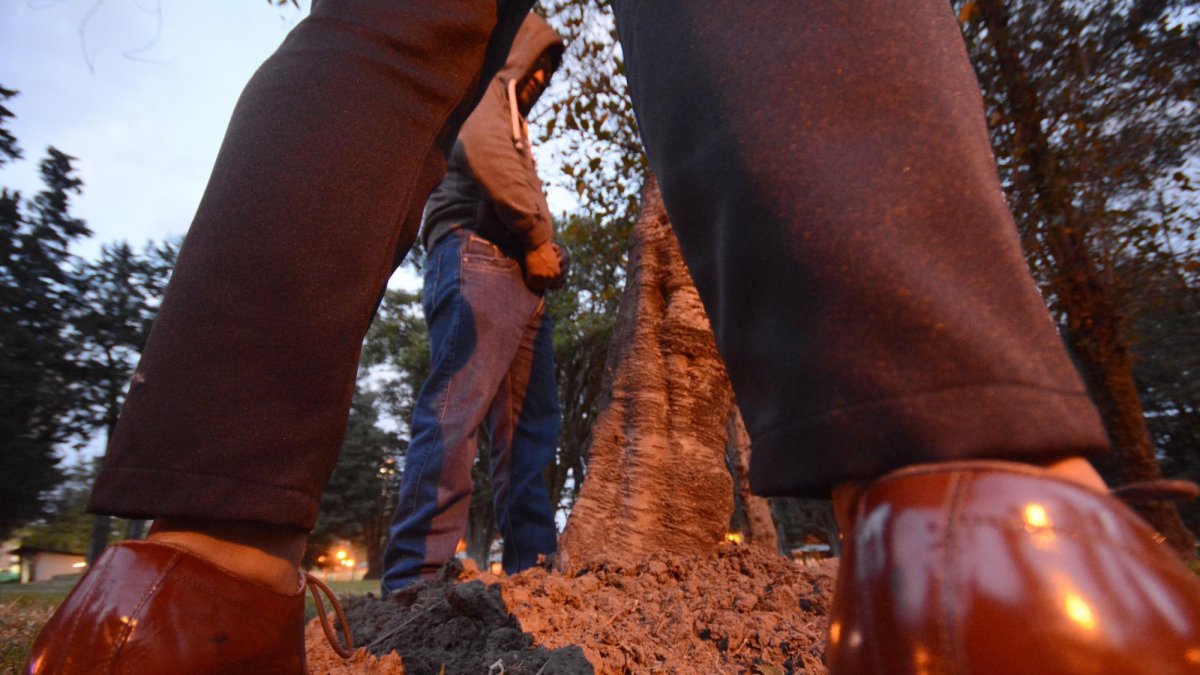 En algunos casos, los encuentros son gratuitos.