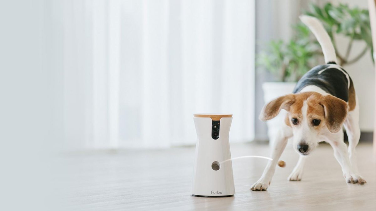 Furbo es una cámara con la que no solo verás a qué dedica su tiempo libre, también podrás interactuar con él hablándole gracias al audio bidireccional y jugando a lanzarle sus golosinas favoritas.