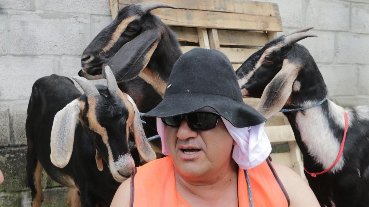 José Delgado se disfrazó de ‘chivero’ y ejerció el oficio por un día.