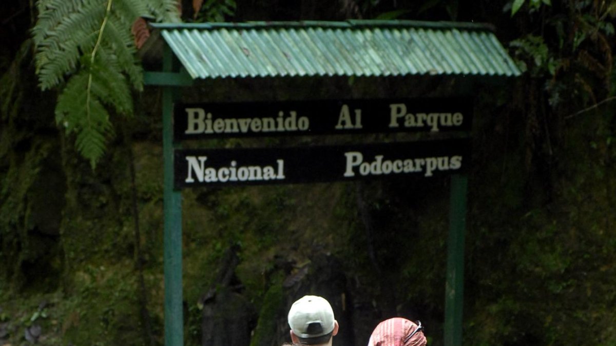 Si entre tus planes no está ir a la playa porque es muy lejos, existen varios parques y reservas ecológicas para realizar distintas actividades como el senderismo, avistamiento de aves, entre otras.