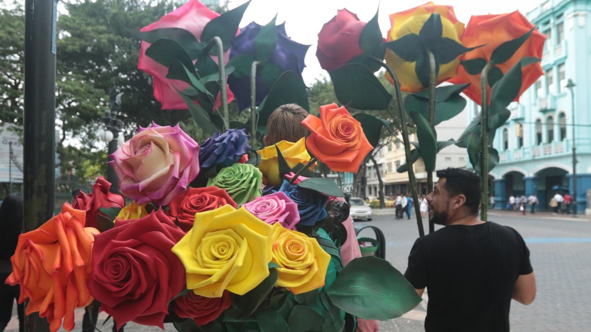 Las más económicas de estas flores salen en $ 20.
