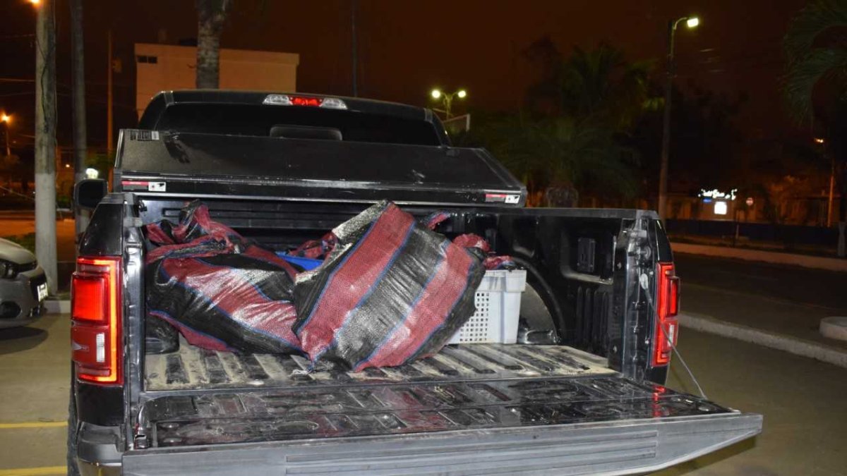 Se encontraron 190 paquetes de clorhidrato de cocaína.