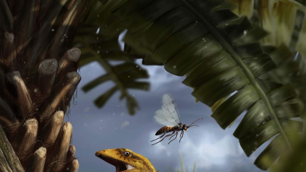 Su descubrimiento es importante para la línea genealógica de los reptiles.