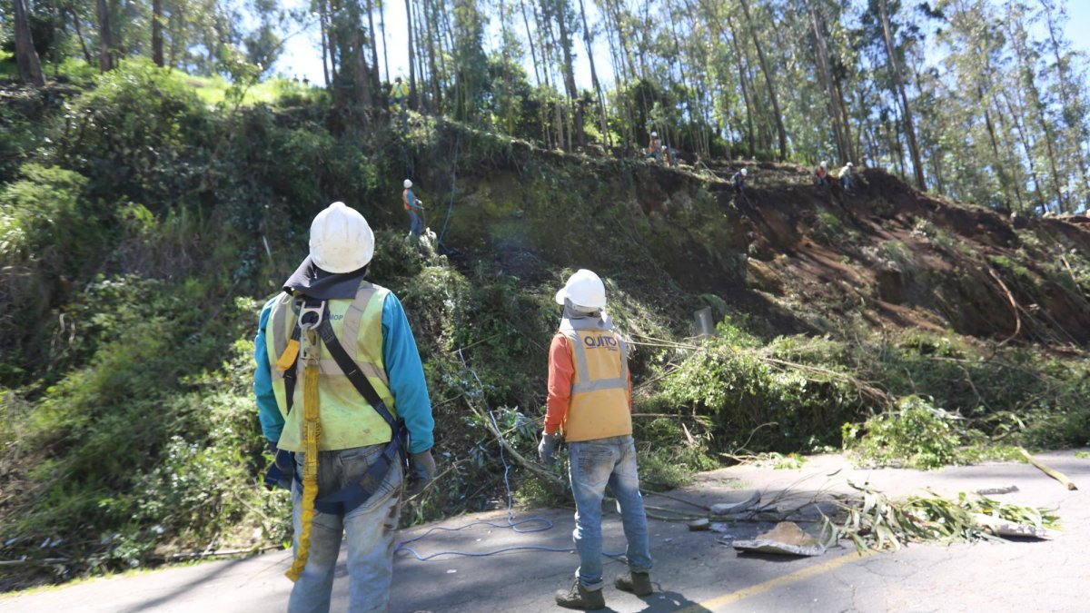 La vulnerabilidad se ha identificado en 60 barrios.