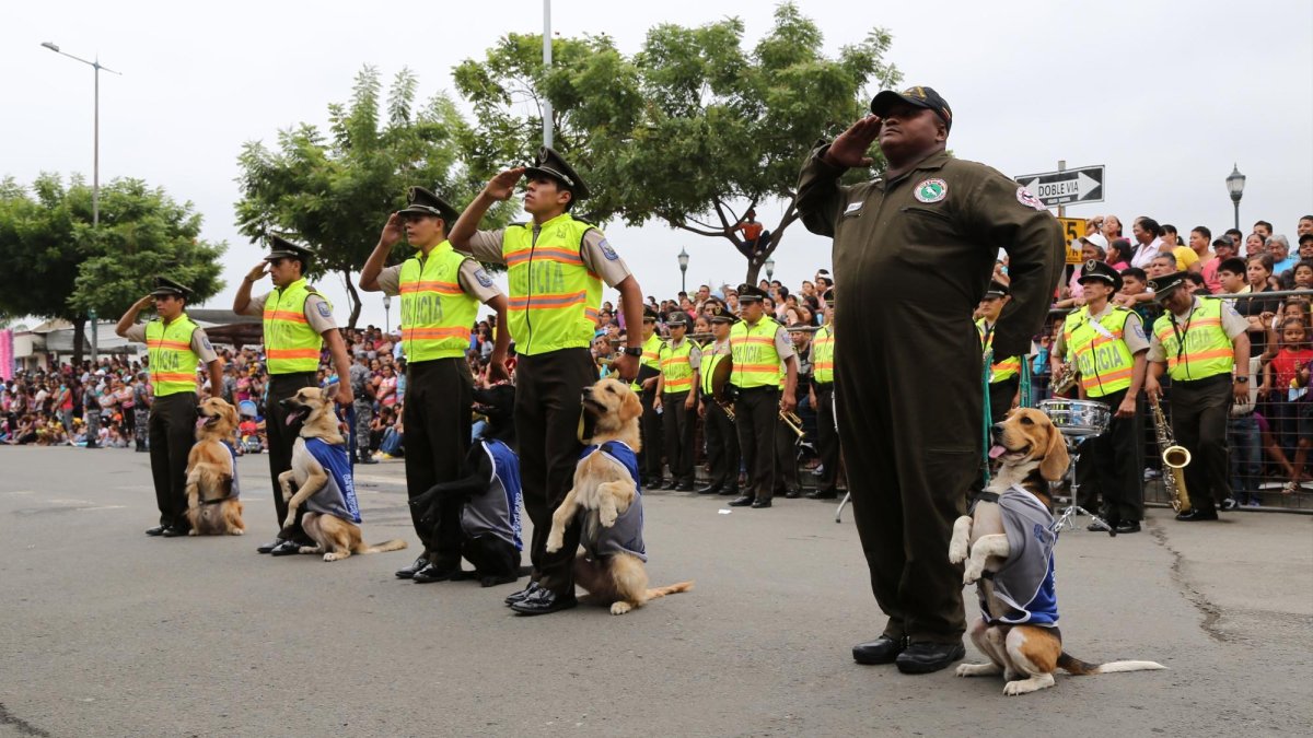 Hay 8 requisitos que deben cumplir los candidatos.