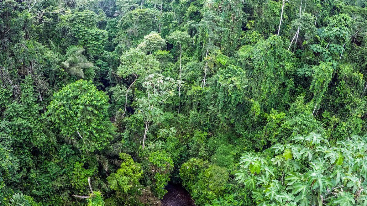 Esta declaración tiene como objetivo promover un equilibrio entre la naturaleza y la población, dijo el jueves 26 de julio la organización.