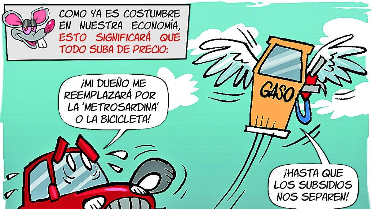 Se debe hacer conciencia de ciertas medidas por adoptar