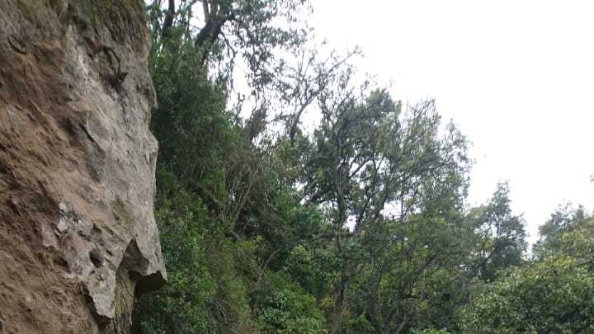 La camioneta quedó destruida, pero su ocupante resultó ileso.