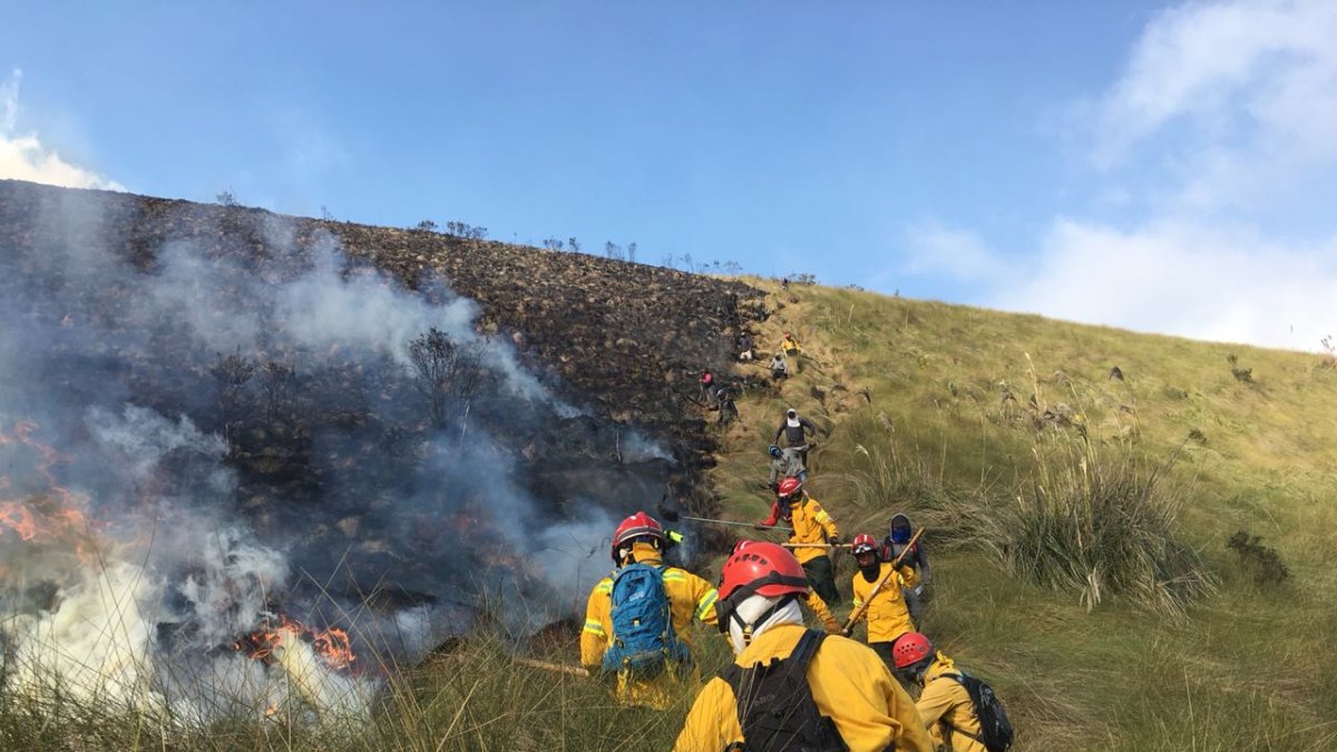 La zona de Santo Domingo de Guzmán, sufrió los estragos del fuego. Minutos después, los bomberos pudieron controlarlo.