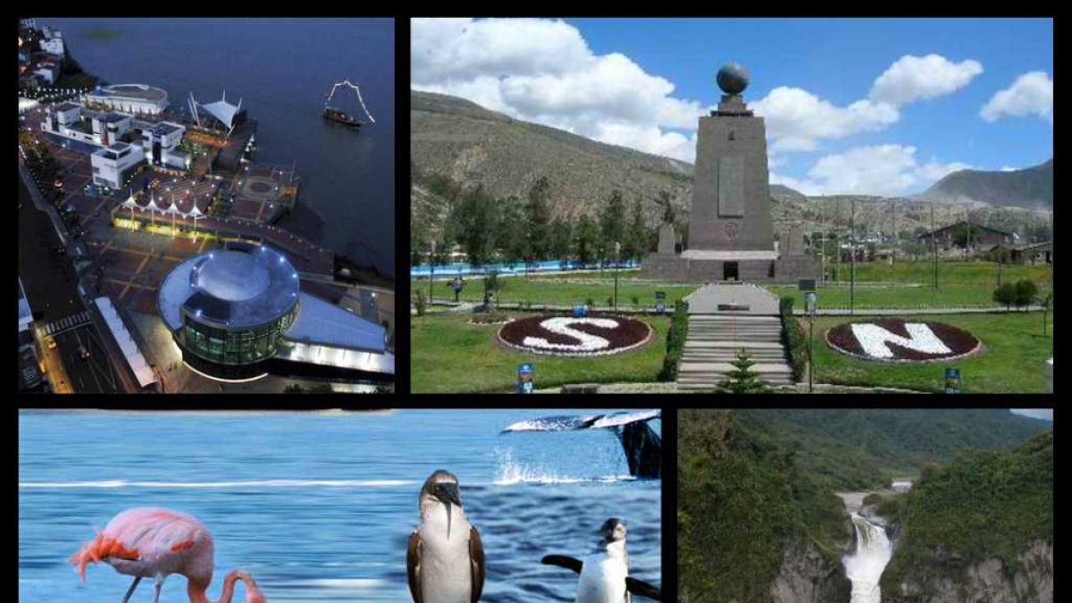 Los colegios que deseen participar deberán confirmar su participación máximo hasta el 12 de septiembre.