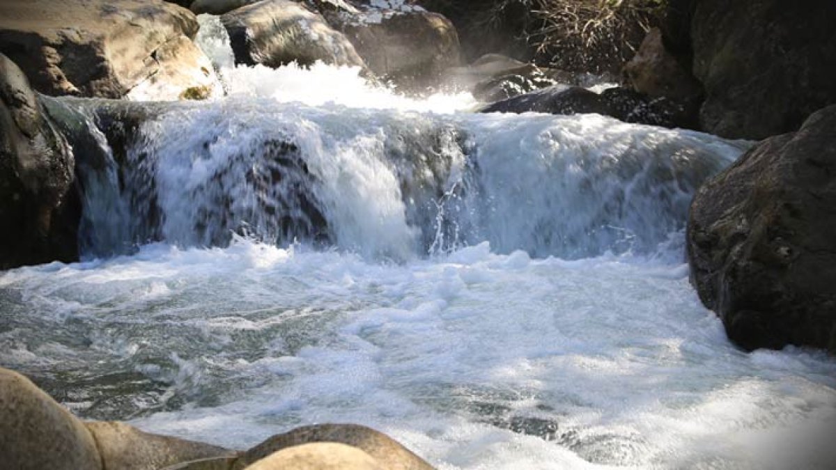 Solo el 2% del 71% de agua que hay sobre la tierra es apta para consumo humano.