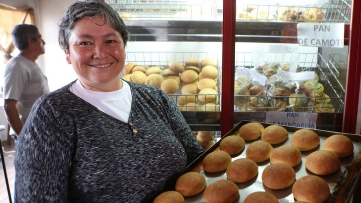 La Casa Somos de Puéllaro está ubicada en la Delegación Norcentral del Distrito Metropolitano de Quito, en las calles Manuel Silva y 24 de mayo.