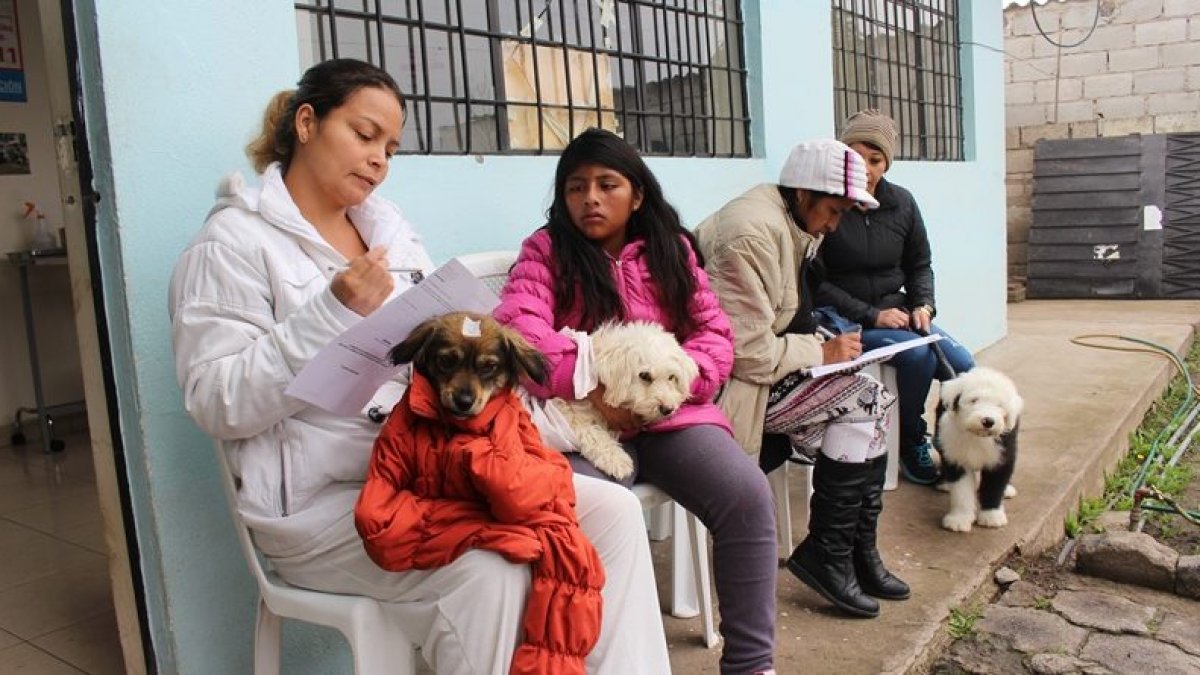 Los turnos serán entregados a las 07:30  en presencia de los propietarios y sus animales, con el fin de priorizar a los perros y gatos del sector, las primeras parroquias en ser visitadas serán San José de Minas y Puéllaro.