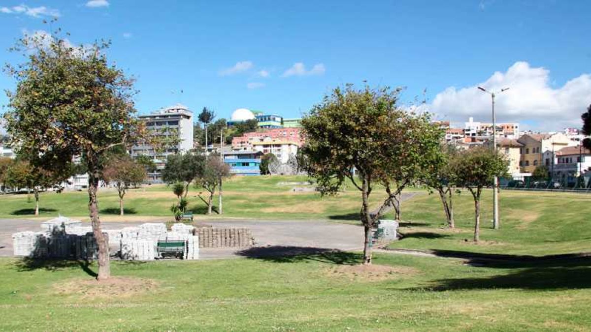 Este parque conserva su nombre porque allí se ubicó el primer estadio de Quito, que popularmente se lo llamaba El Arbolito.