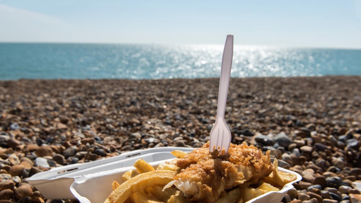 La sal y el azúcar hacen más gratos al paladar ciertos alimentos, mientras que las grasas confieren un sabor agradable a muchas comidas.