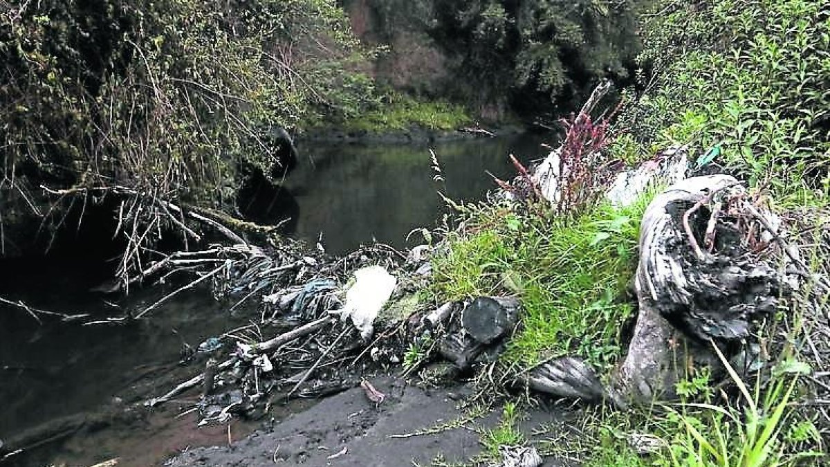 Esta fuente de agua se ha visto afectada por la cantidad de deshechos que han botado