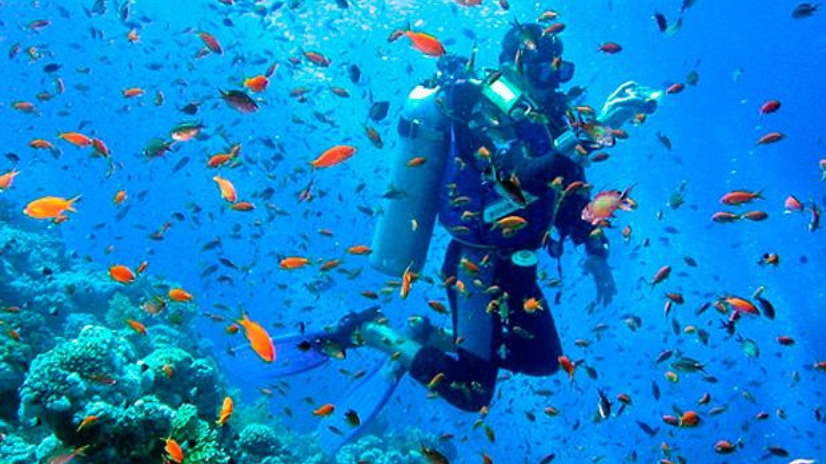 Con 138 mil kilómetros cuadrados de extensión en reserva marina y 71 sitios de visita marinos, este patrimonio Natural de la Humanidad te espera para que bucees en sus cristalinas aguas.