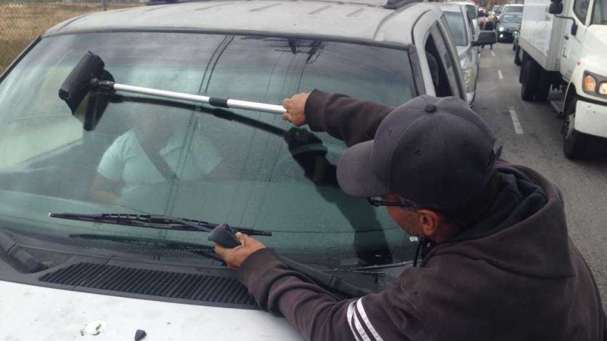 Un total de 197 han sido retirados de avenidas y redondeles de la ciudad.