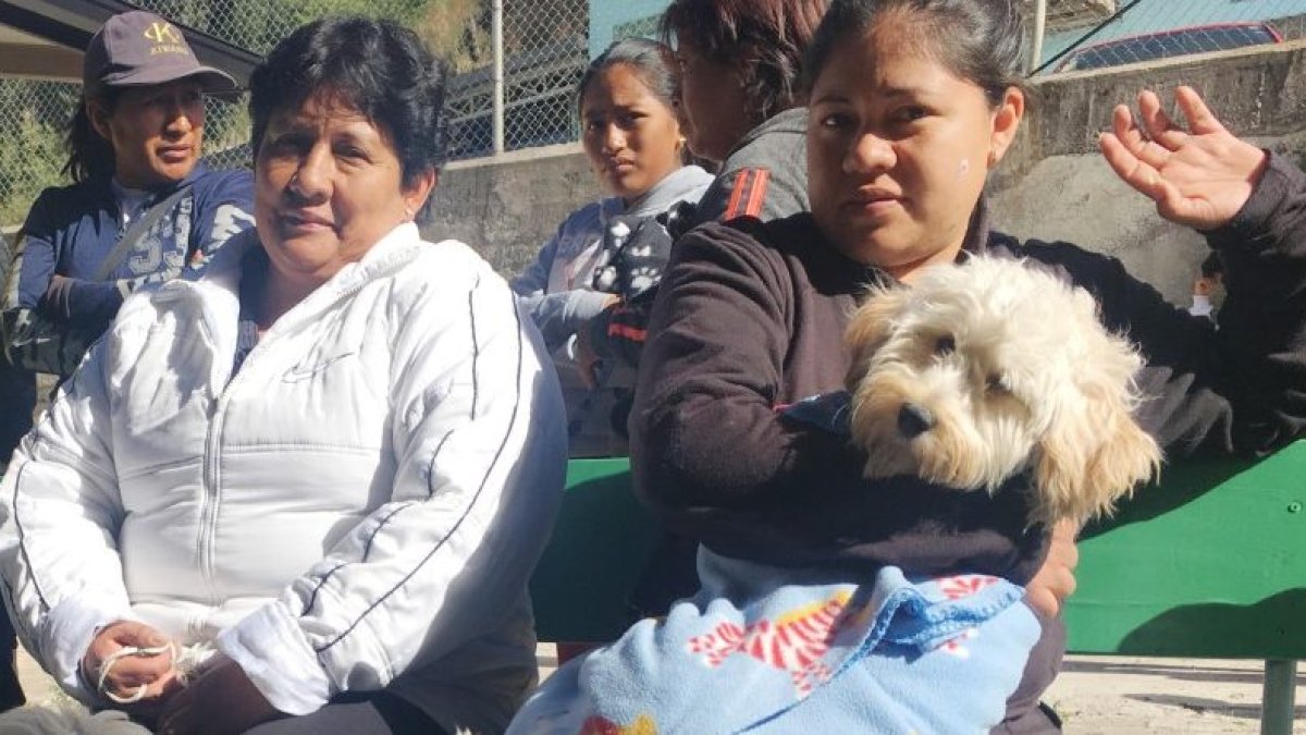 La campaña busca prevenir la sobrepoblación animal.