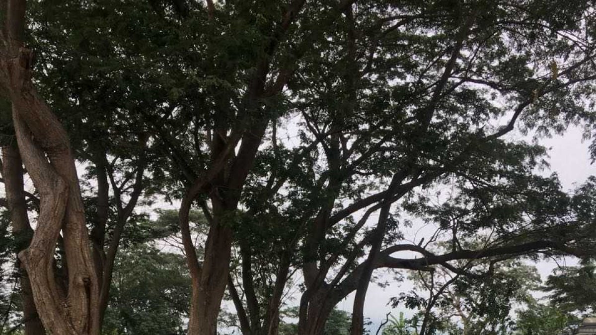 Los uniformados rompieron el vidrio de la patrulla para ayudar a uno de los agentes que seguía con vida.