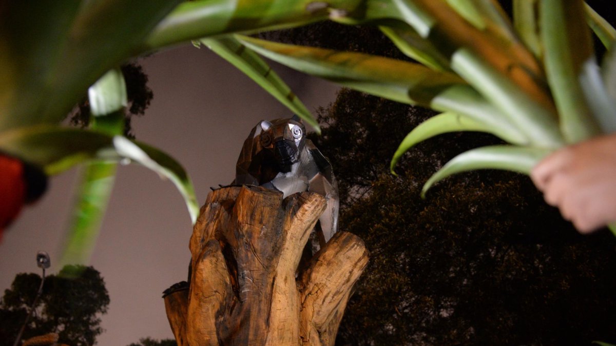 Martín Bustamante, de la Fundación Zoológica del Ecuador, detalló que se hará un enriquecimiento ambiental a estos animales.