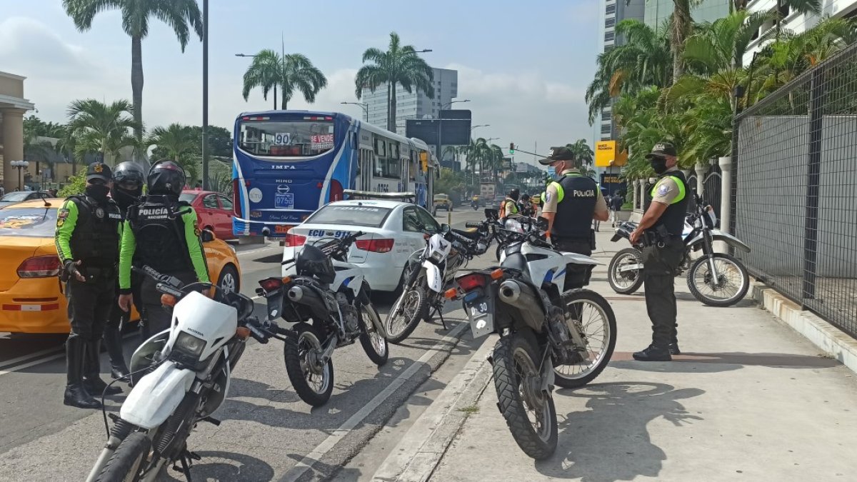 Los delincuentes hicieron de las suyas en una entidad bancaria.