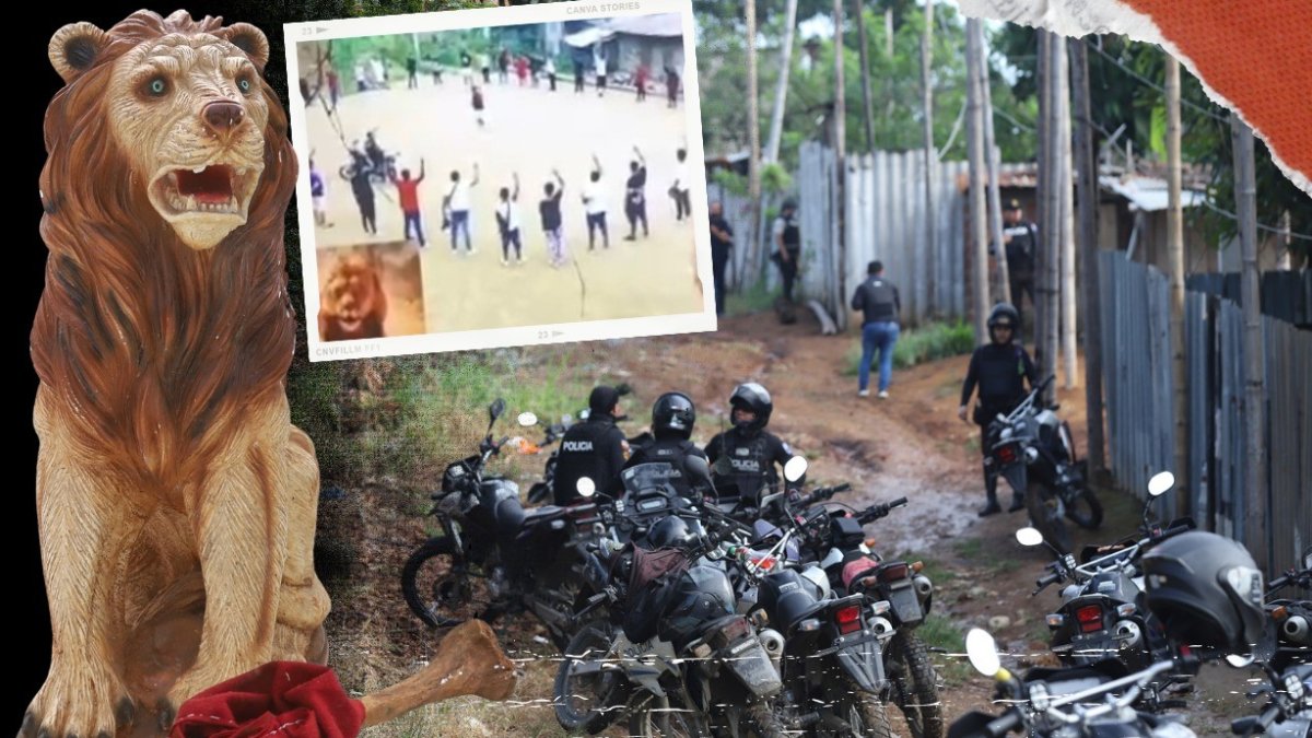 Este es el camino que conduce al lugar donde integrantes de Los Fatales se reúnen y planean su siguiente golpe delictivo.