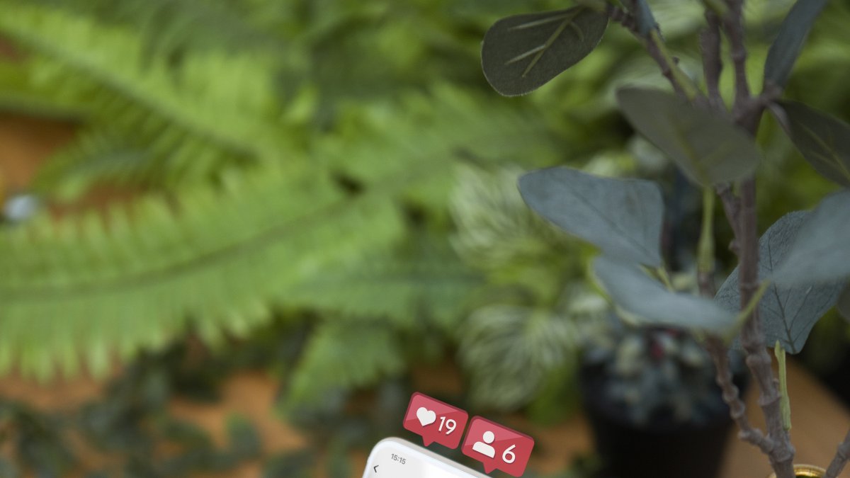 Estos artistas no solo son reconocidos por su talento en la pantalla grande, sino que también han sabido capitalizar su influencia en el mundo digital.