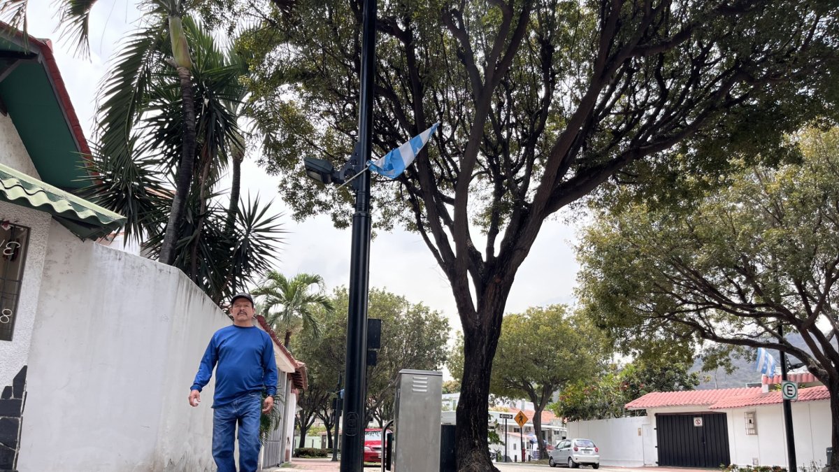 El sector de Ceibos se considera como un barrio residencial de la urbe porteña. 