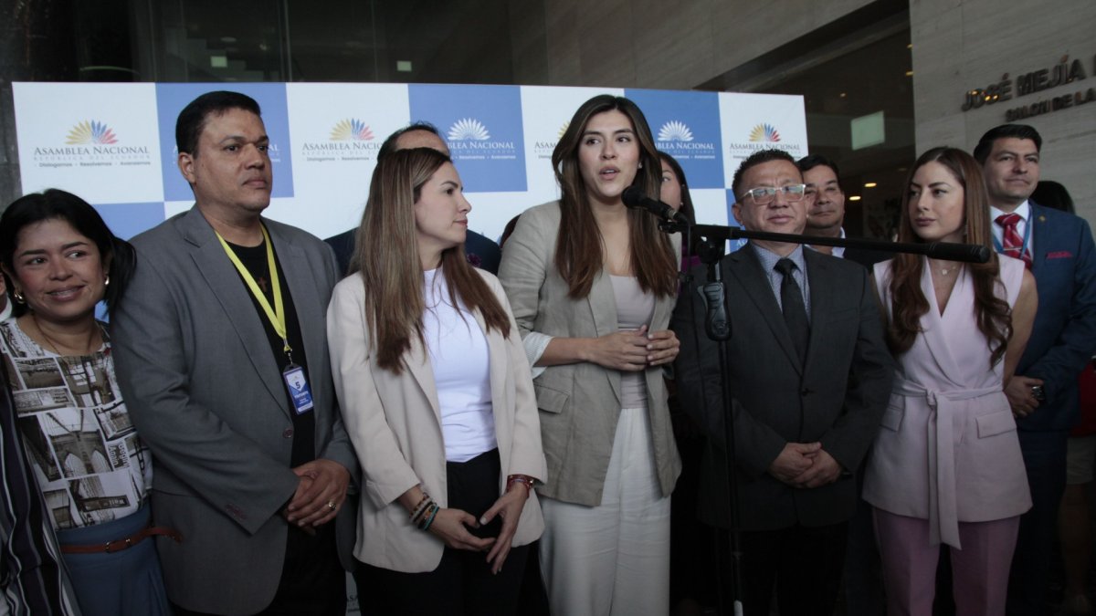 El oficialismo insiste en que es potestad de Daniel Noboa decidir si entrega o no la Presidencia durante la campaña electoral.