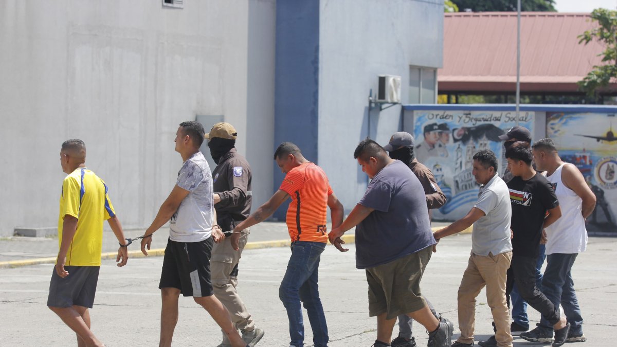 Las aprehensiones se produjeron el sábado 1 de febrero.