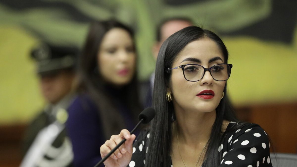 El uso de celulares en los recintos electorales volvió a estar en debate antes del balotaje.